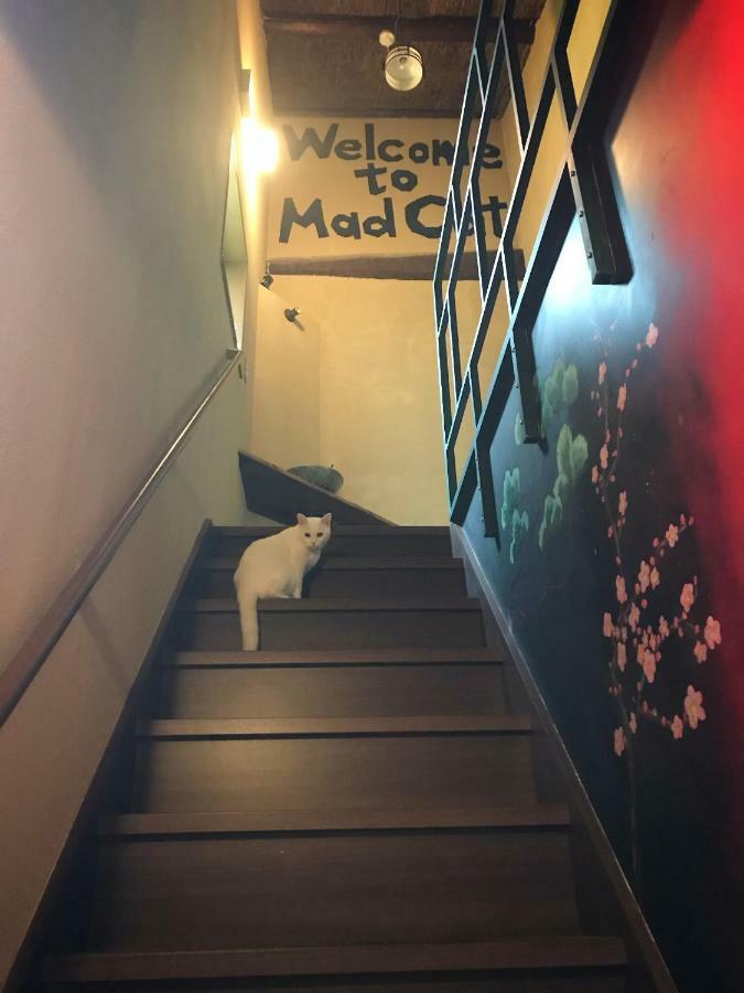 Mad Cat Hostel Osaka & Bar Exterior photo