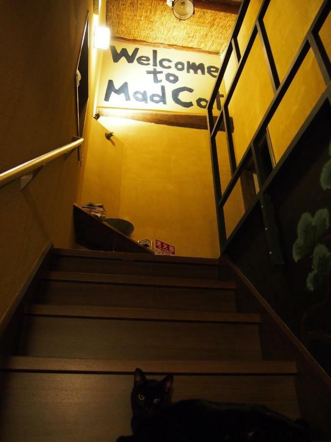 Mad Cat Hostel Osaka & Bar Exterior photo